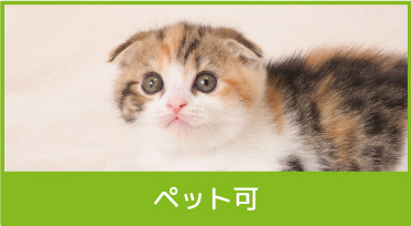 ペット可