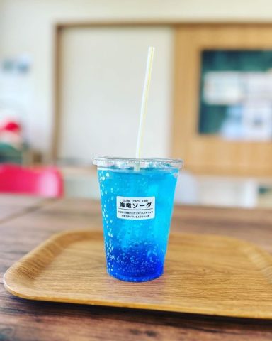海竜すいすい🏊